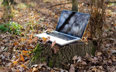 Société informatique à Carqueiranne